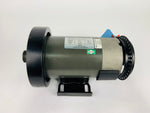 Load image into Gallery viewer, Spirit Fitness XT185 Treadmill DC Drive Motor D9200006 G080552A WA417 (MP231)