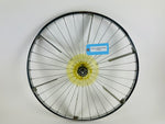 Load image into Gallery viewer, Schwinn Air Dyne Bike AD3 (MX135)