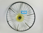 Load image into Gallery viewer, Schwinn Air Dyne Bike AD3 (MX135)