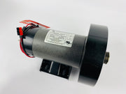 Treadmill Drive Motors