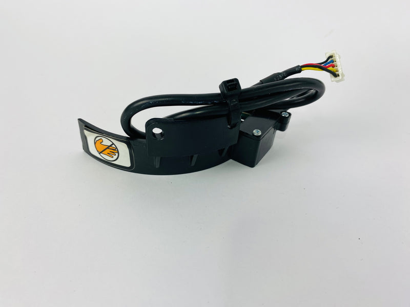 Treadmill Sensors