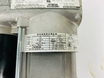 Load image into Gallery viewer, FP459