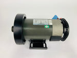 Load image into Gallery viewer, Spirit Fitness XT185 Treadmill DC Drive Motor D9200006 G080552A (MP231)
