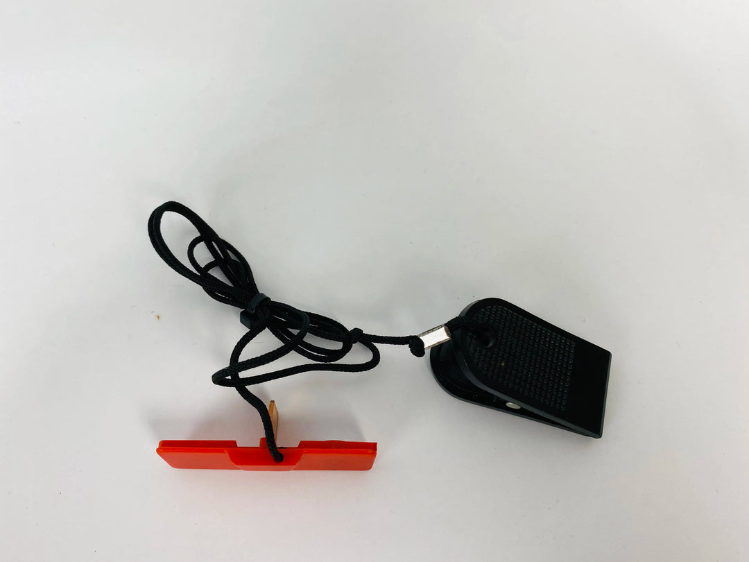 SK291