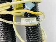 Resistors and Capacitors