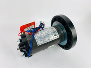 Treadmill Drive Motors