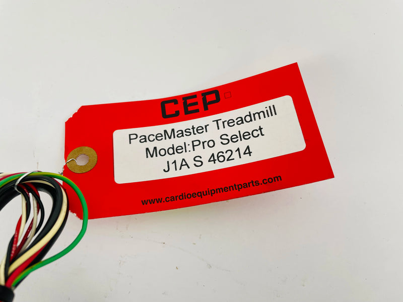FP386