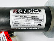 Treadmill Drive Motors