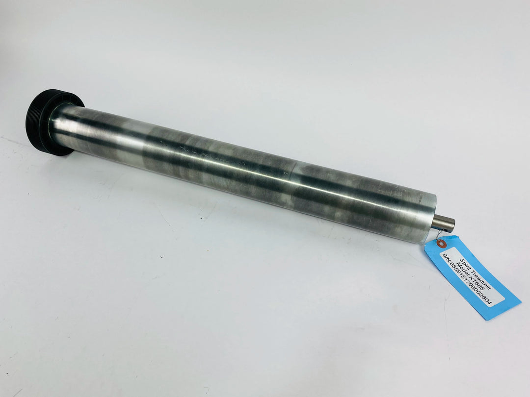 RP319