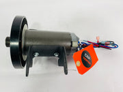 Treadmill Drive Motors