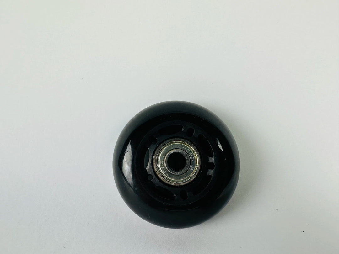 WP6
