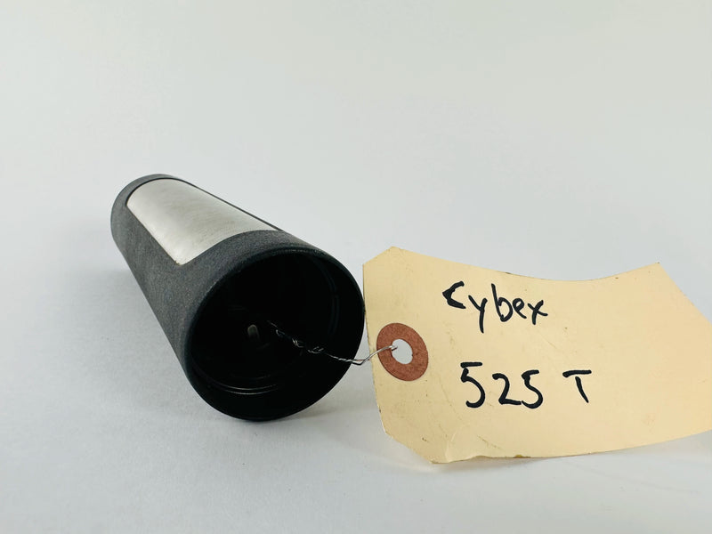 SS81