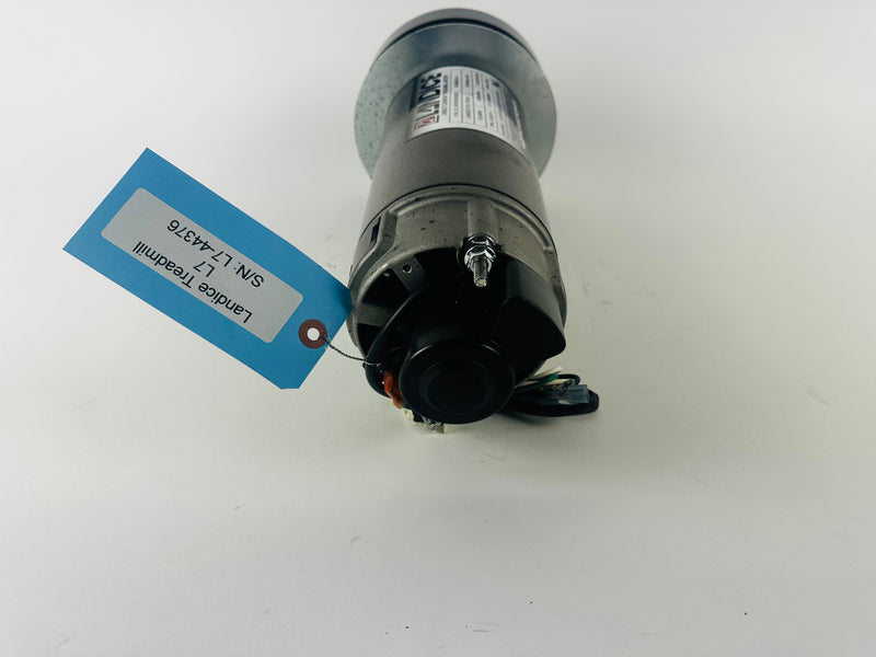 treadmill drive motor
