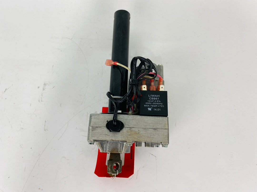 FP293