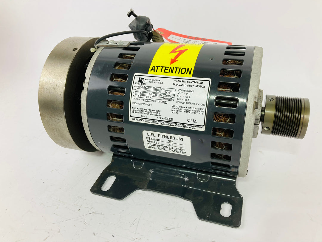 Treadmill Drive Motors