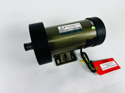 Treadmill Drive Motors