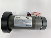 Treadmill Drive Motors