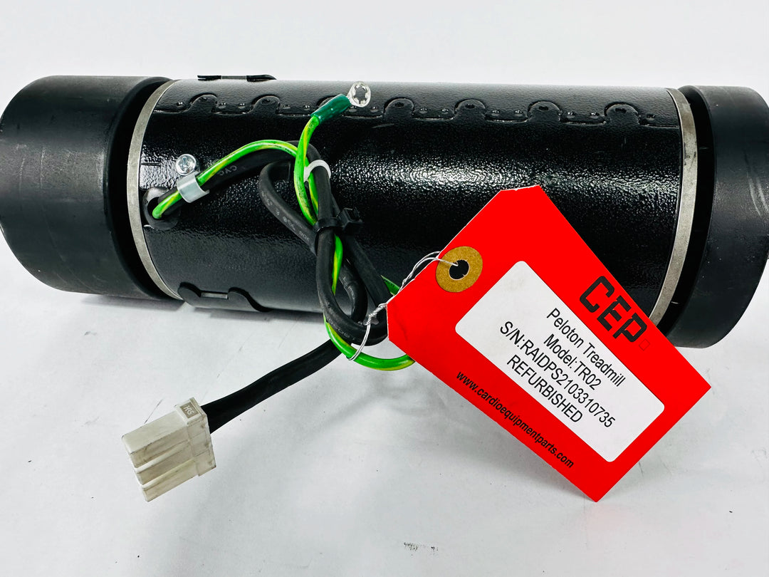 MP290