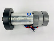 Treadmill Drive Motors