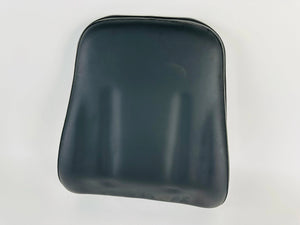 Vision Fitness R2100 Recumbent Bike Seat Back Pad (BB44)