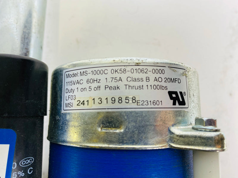 FP61