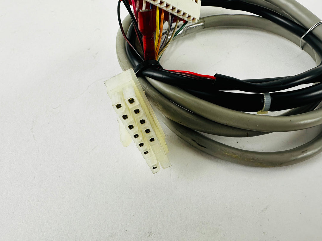 Life Fitness 95R Recumbent Bike Main Wire Harness Cable (DC214)