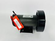 Treadmill Drive Motors