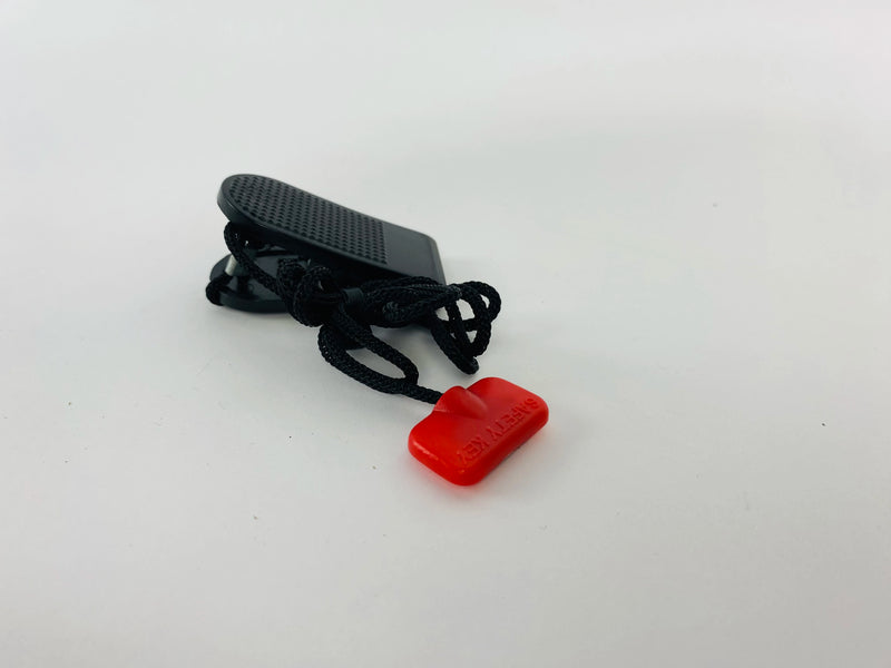 SK198