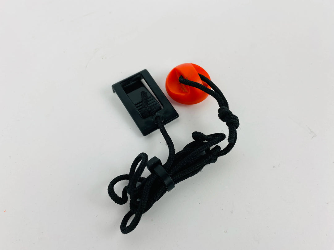 SK241