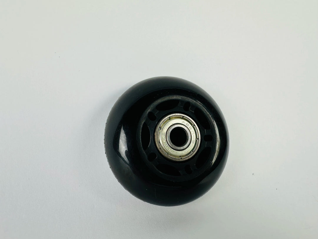 WP6