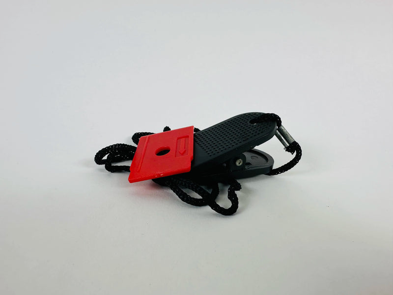 SK119