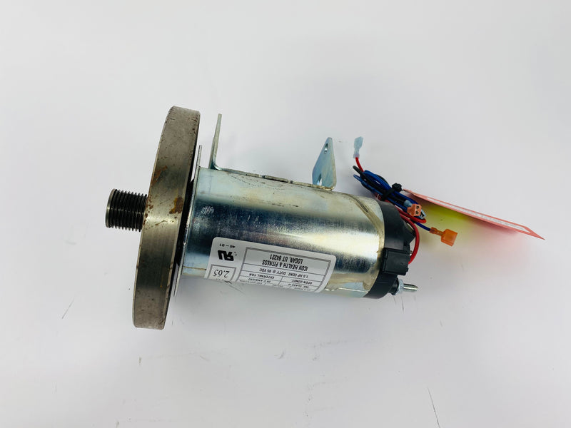 Treadmill Drive Motors