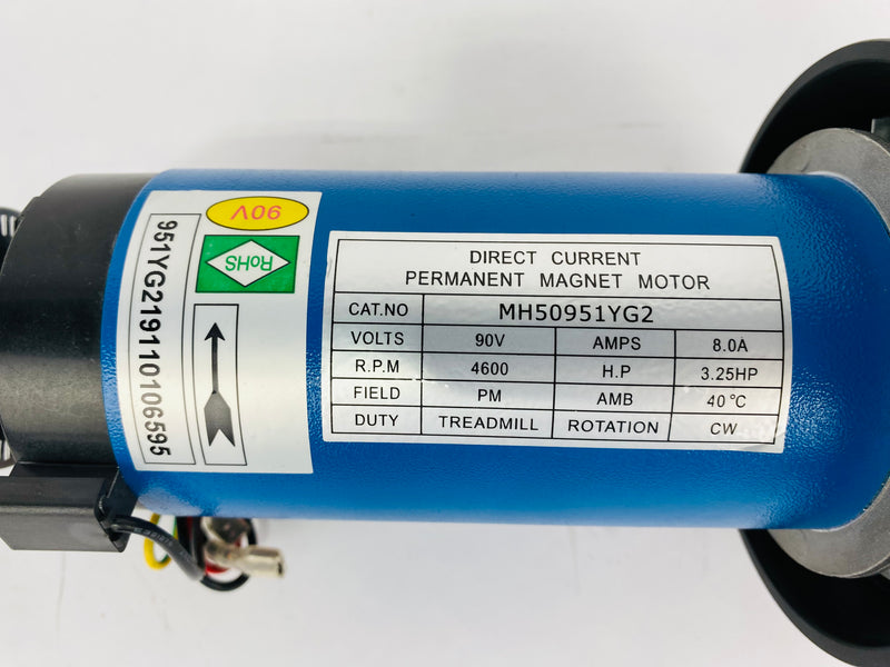 Treadmill Drive Motors
