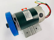 Treadmill Drive Motors