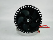 Treadmill Drive Motors