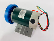 Treadmill Drive Motors