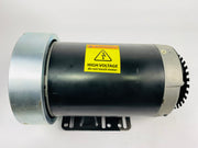 Treadmill Drive Motors