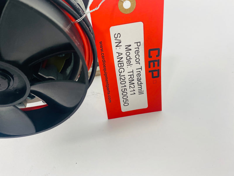 Treadmill Drive Motors