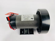 Treadmill Drive Motors