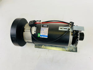 Bodyguard T520 Treadmill DC Drive Motor ZYT124/73-12A (MP24)