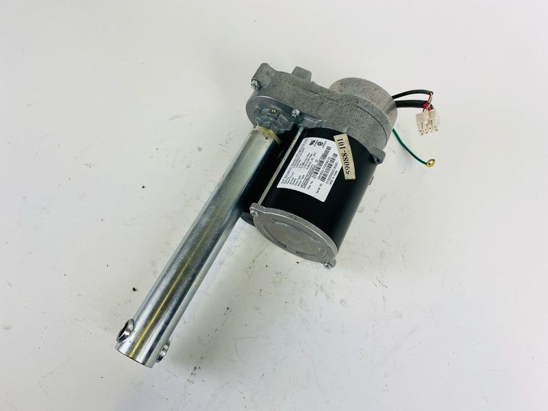 FP31