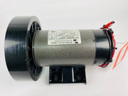 Treadmill Drive Motors