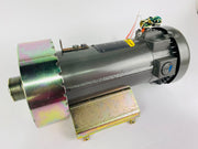 Treadmill Drive Motors