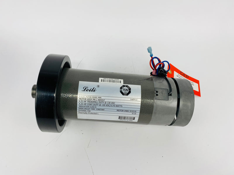 Treadmill Drive Motors