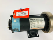 Treadmill Drive Motors