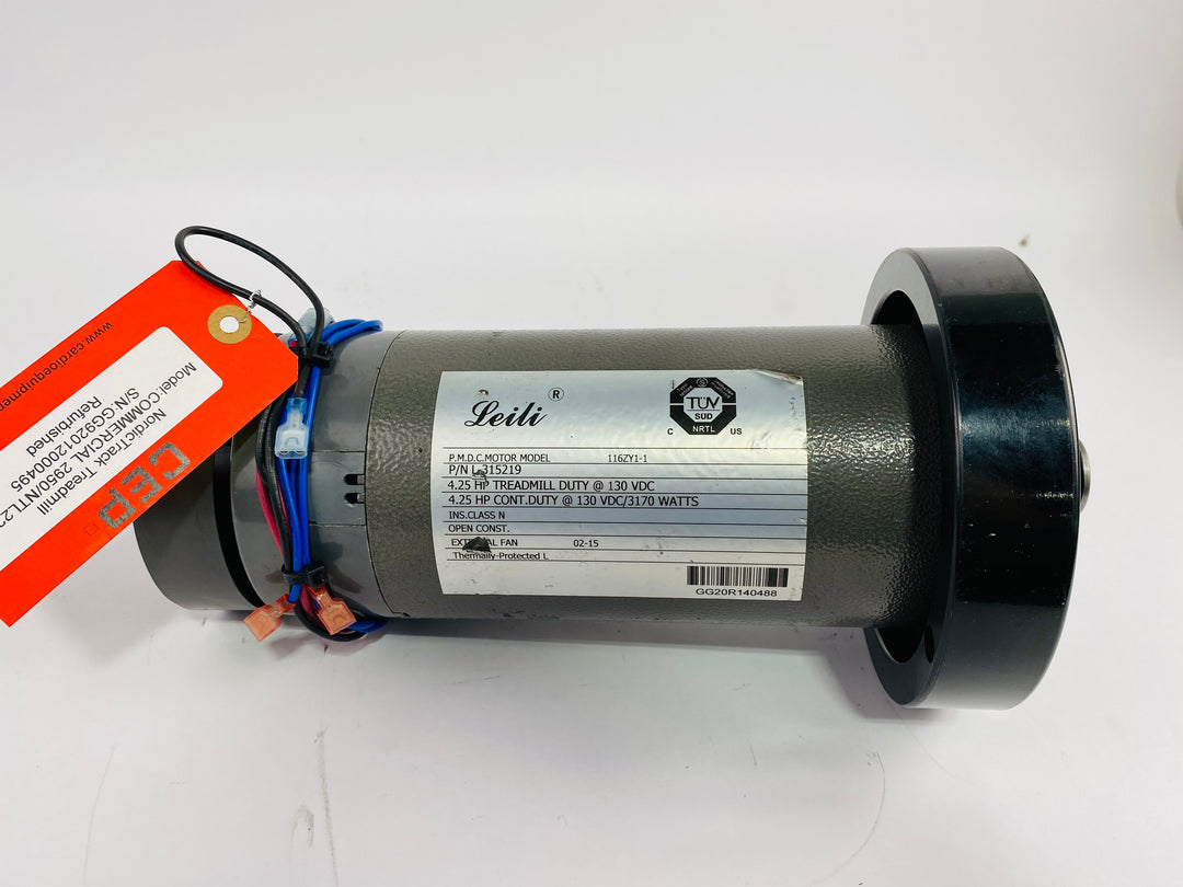 Treadmill Drive Motors