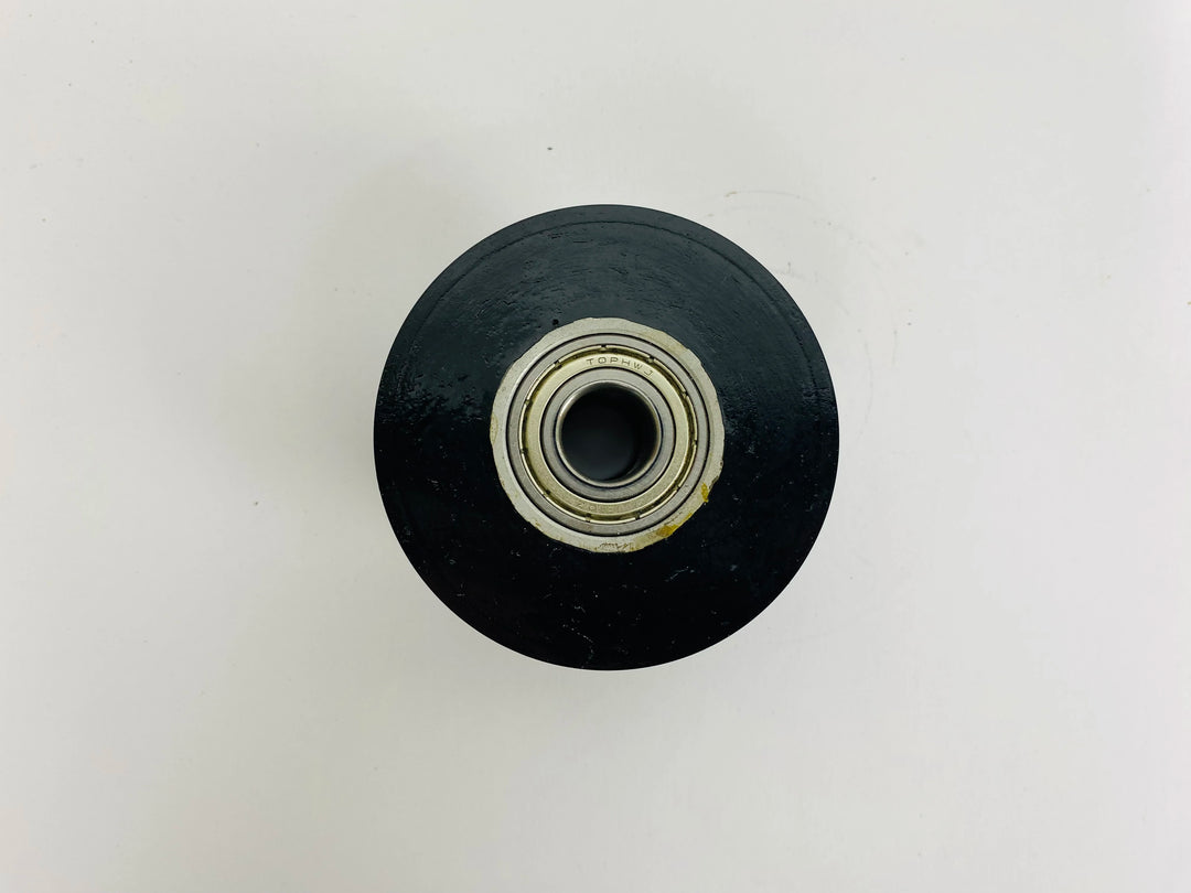 WP101