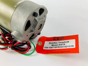 Treadmill Drive Motors