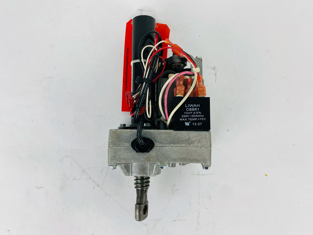 FP308