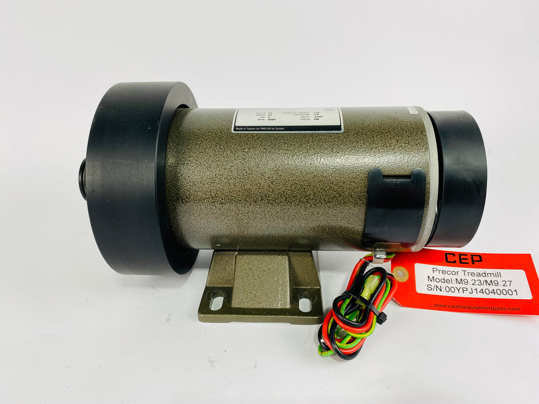 Treadmill Drive Motors